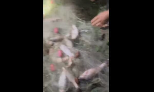  Gjenden rrjeta ilegale në Ujman dhe disa lumenj, kishin zënë dhjetëra peshq