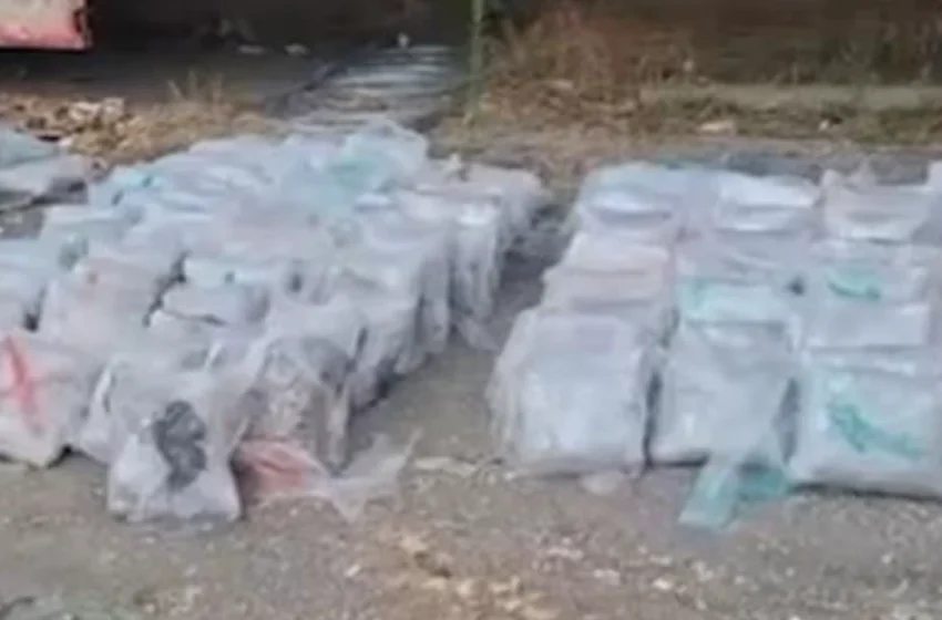  Aksioni “Vardaris” zbulon mbi 324 kg marihuanë në Selanik, në pranga një shtetas nga Maqedonia dhe një nga Kosova