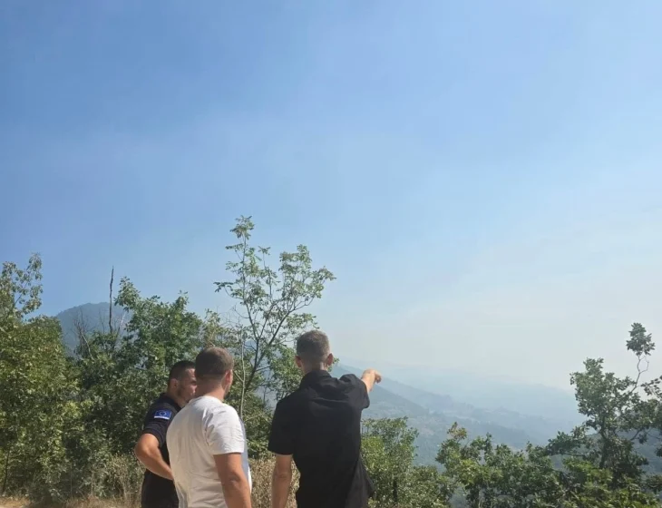  QMK: Të gjitha resurset shtetërore janë angazhuar në terren për mbrojtje të pyjeve Kitka