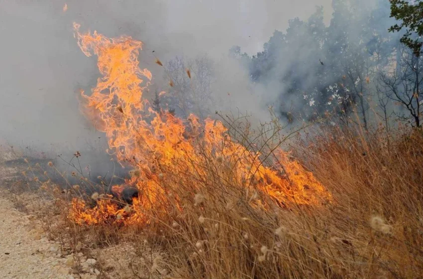  Gjashtë zjarre aktive në RMV, zjarrfikësit dhe banorët e Zelenikovës shpëtuan shtëpitë gjatë natës