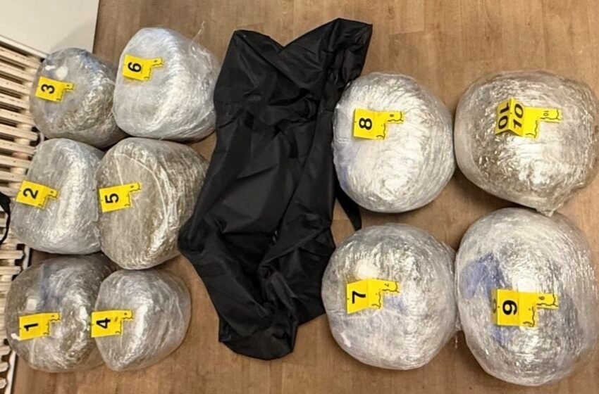 Arrestohen dy të dyshuar dhe konfiskohen mbi 50 kg lëndë narkotike