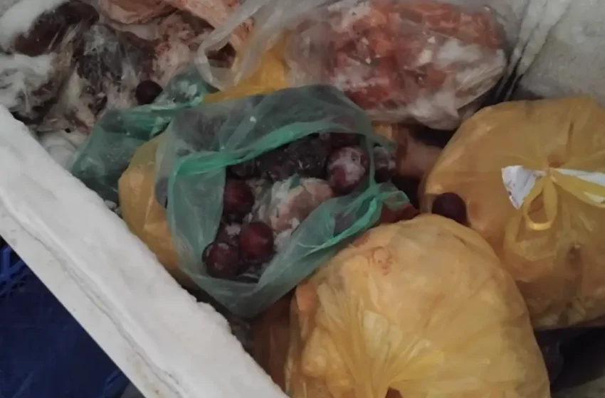  Sekuestrohen rreth dy tonë mish i pasigurt, do të shkatërrohen në “Drislla”