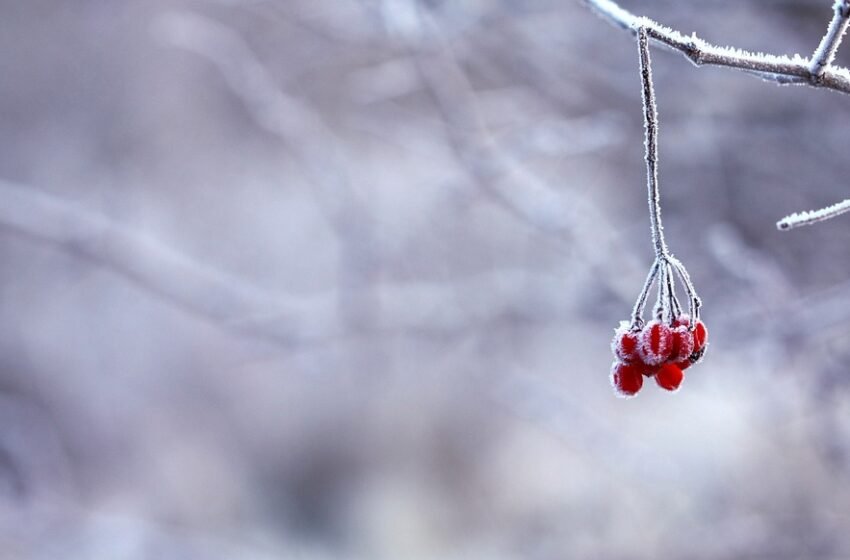  Valë polare me temperatura të ulta së shpejti në Maqedoninë e Veriut dhe Ballkan